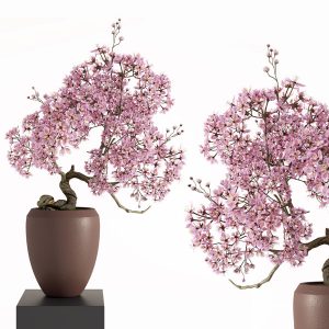 新中式盆栽3d模型