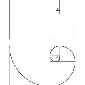 黄金分割黄金螺旋线